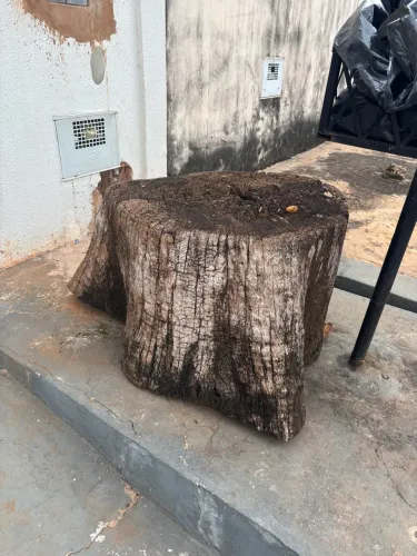 TOCO RÚSTICO DE CEDRO