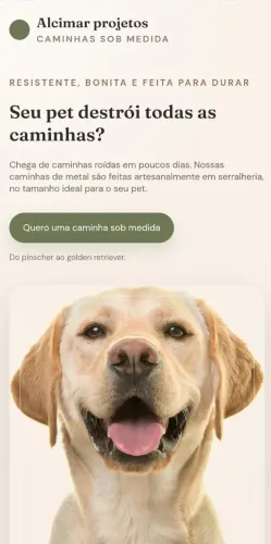 Camas de ferro sobre medida para pets