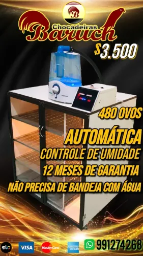 Chocadeira Baruch 480 ovos