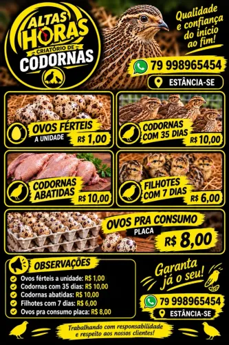 CODORNAS