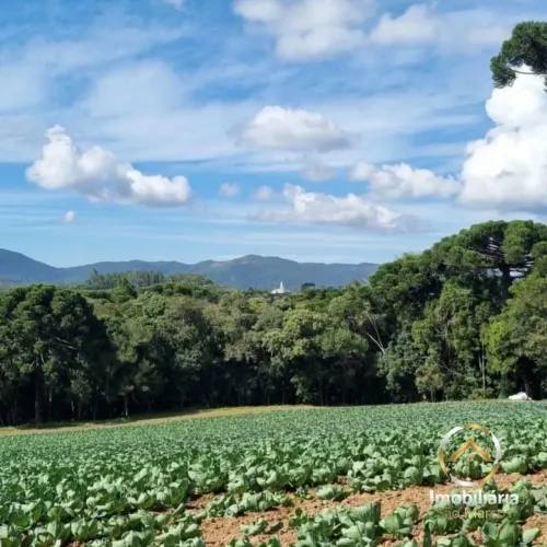 Sítio com 35.198m² em São José dos Pinhais  Roça Velha, com Tanque e Área de Lavoura