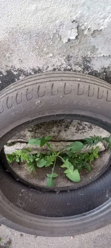 Pneu 195/50. R16