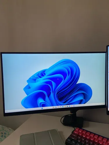 Monitor aoc 22b