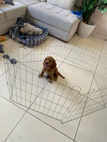 Cercado Pet