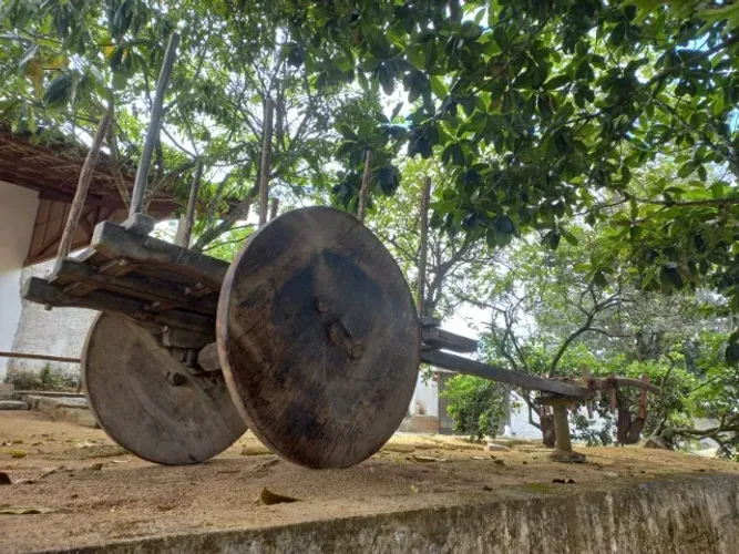 Carro de Boi Original Roda de Madeira Antigo