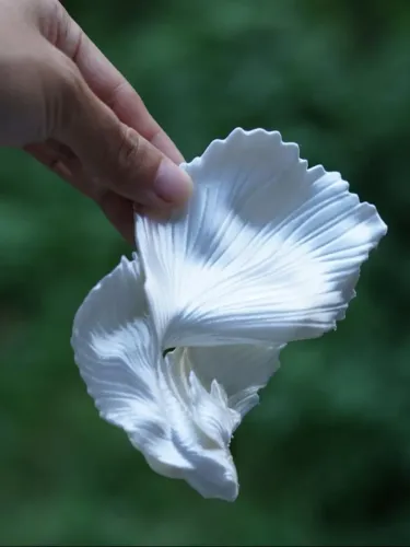 Decorados para aquários/aquarismo. 