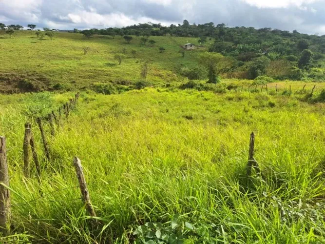 TERRENO EM VILA NOVA, HÁ 2KM DE UMBUZEIRO, JUNTO DA PE-102 - 455m2