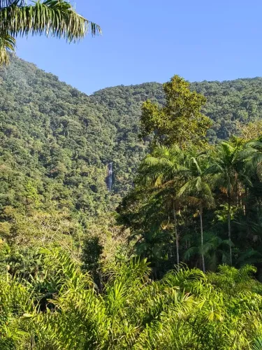 Chácara à Venda - Excelente Oportunidade! No Quiriri c/ 3800m²