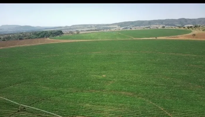 Fazenda 30 alqueires com Pivô em Hidrolândia-Go