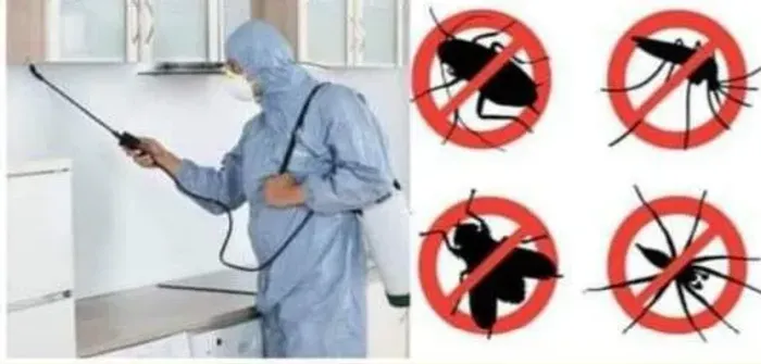 Detetizaçao 