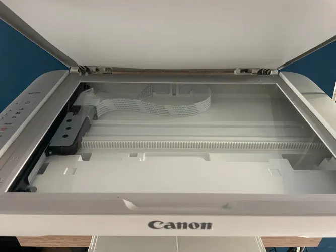 Impressora Canon MG2410