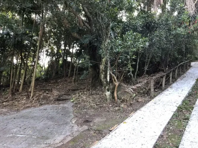 TERRENO RIBEIRÃO DA ILHA CAIACANGA