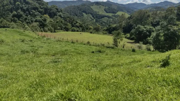 Sítio de 3 Alqueires com Minas de Água com Grande Volume. Marmelopolis/MG