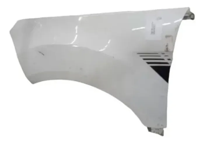 Paralama Ecosport 2013 2014 2015 2016 2017 2018 A 2021 L.e