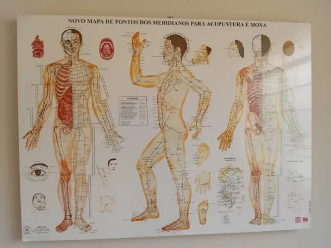 POSTERS Pontos de acupuntura EMOLDURADO S COM PONTOS DE ACUPUNTURA