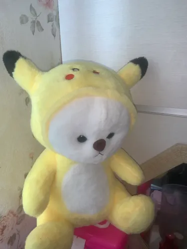 ursinho pra Presentear 