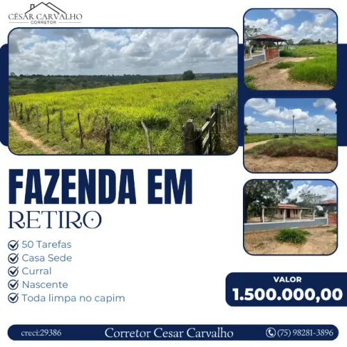 FAZENDA NO RETIRO - 50 TAREFAS