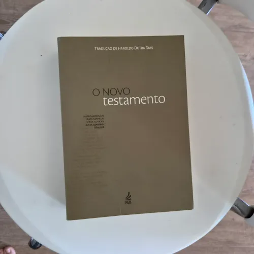 Livro O Novo Testamento - Tradução Haroldo Dutra Dias (FEB) - Ótimo Estado