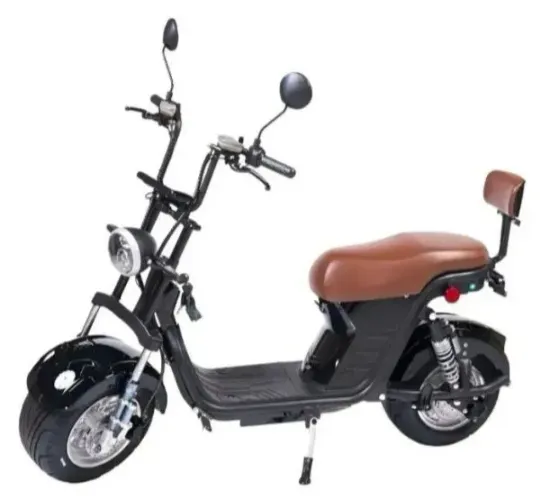 Scooter 1000 W