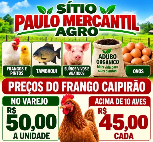 Animais Agro 