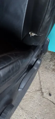 Bancos de couro Citroen C4 VTR