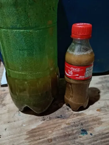 Atrativo para abelhas sem ferrão