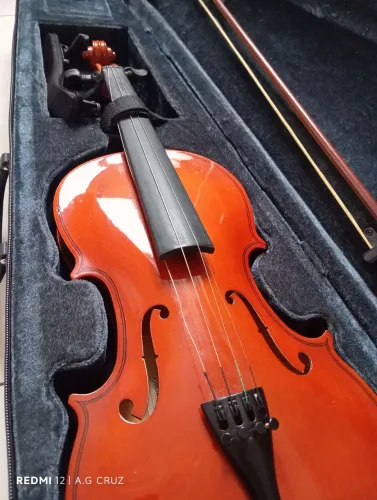 Violino Vivace 4/4 Seminovo