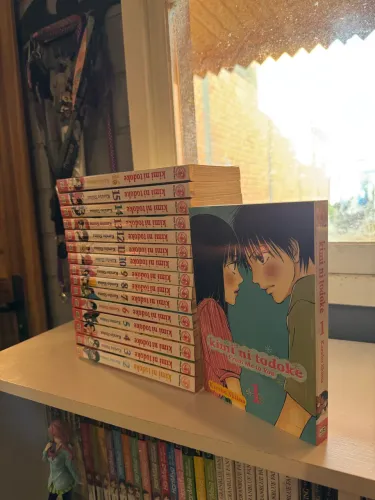 Mangá Kimi Ni todoke 1 ao 16 INGLÊS importado 