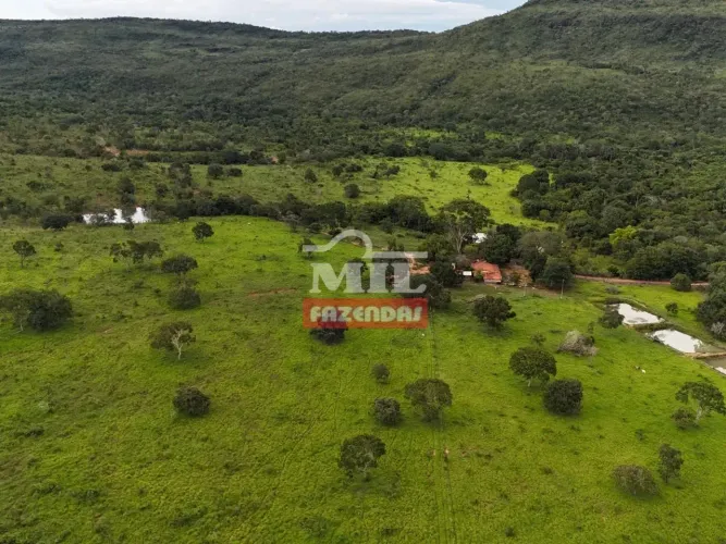 Fazenda 65,9 Alqueires (319 hectares) Minaçu - GO