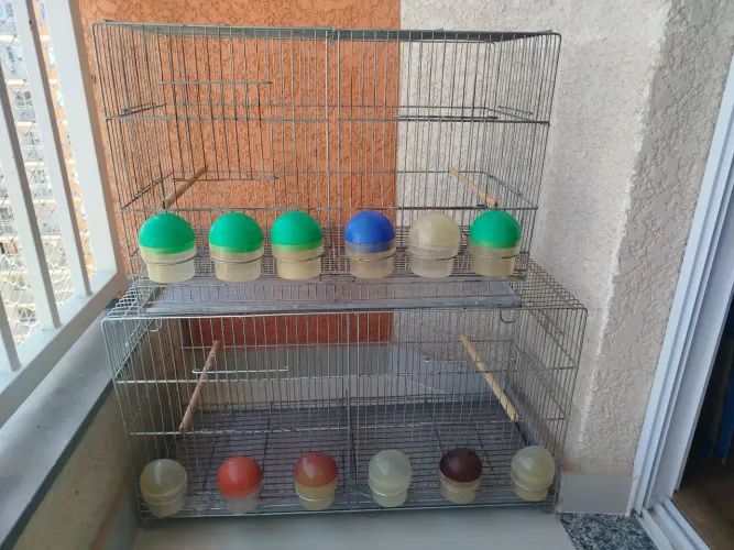 Gaiola para aves