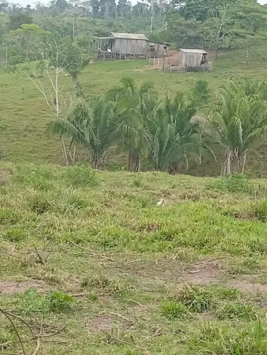 Colônia