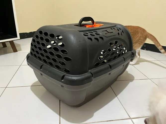 Caixa de transporte para cães N4