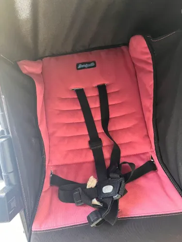 carrinho de bebê burrigoto