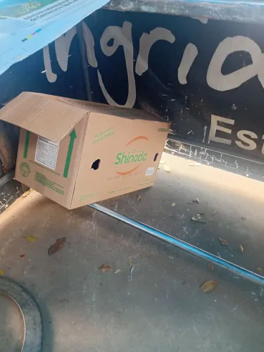 Caixa papelão para mudanca