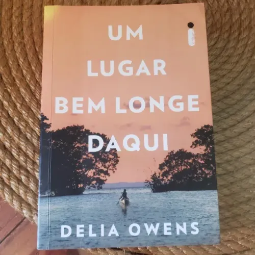 Livro Um lugar bem longe daqui