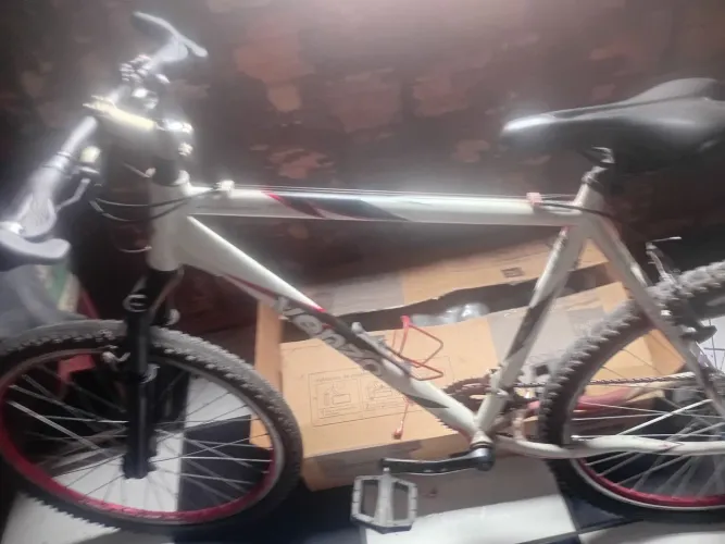 Bicicleta top