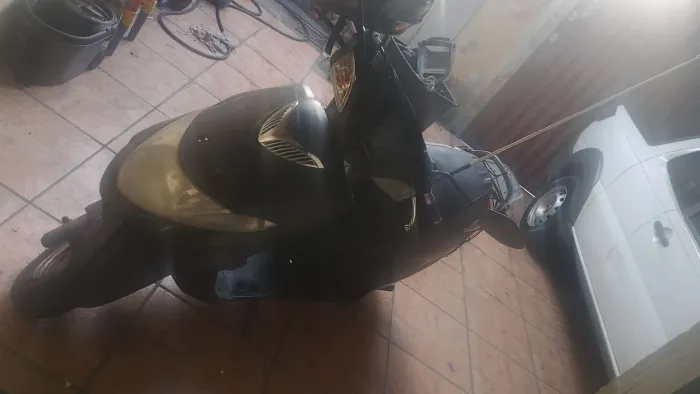 Burgman 2005