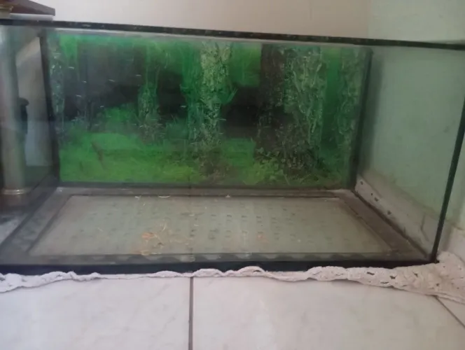 Vendo aquário com sump 