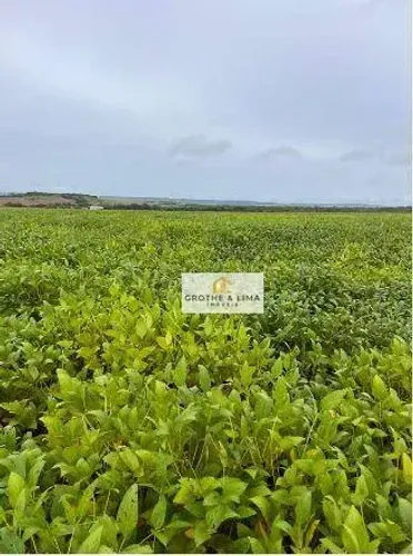Fazenda com 1034 hectares à venda na região do município de Canarana-MT.