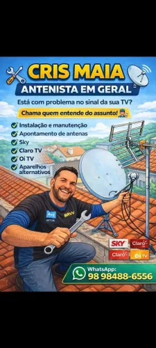 Técnico antenista 
