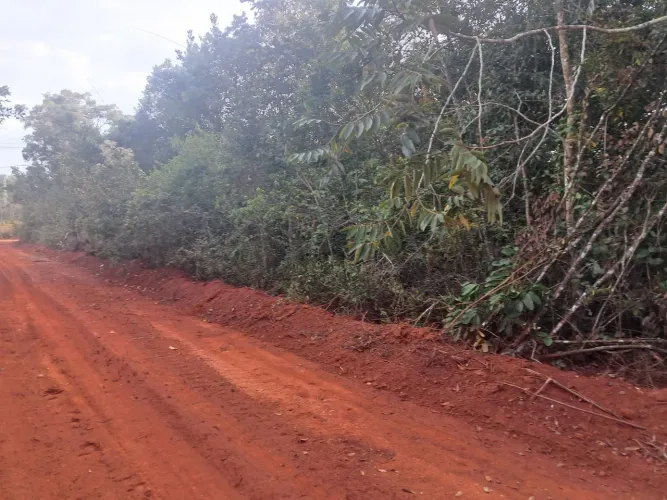 Terreno Sao Jose Buritis,Felixlandia-MG