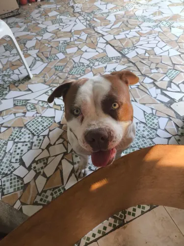 A procura de uma namorada 