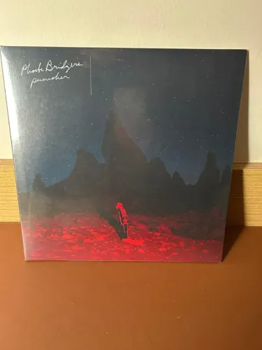 Phoebe Bridgers - Punisher Vinil