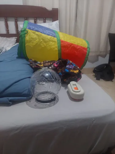 Pacote de itens para gatos