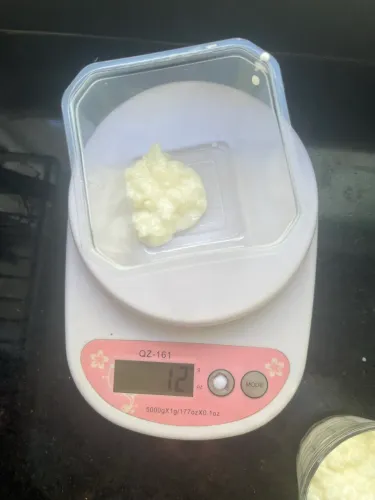 KEFIR de Leite