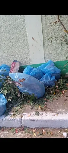 Coleta de entulho 