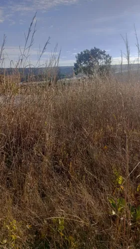 Oportunidade terreno lago norte