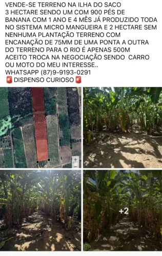 Vende-tereno