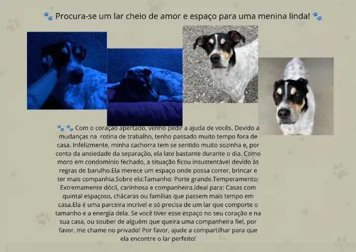 Procura-se um lar cheio de amor e espaço para uma menina linda! 
