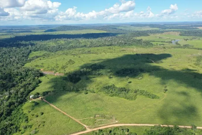 Fazenda Oportunidade em Novo Progresso/PA: 694 Ha | 375 Ha Abertos